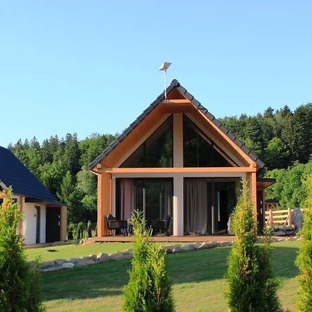 Villa Galena I Gnejs à Stronie Śląskie Extérieur photo